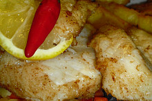 Nilský okoun „MALAYSIA“