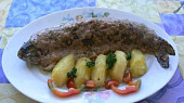 Pstruh s anglickou slaninou