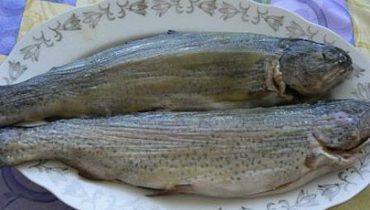 Pstruh s anglickou slaninou