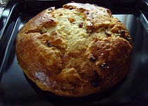 Nekynutý mazanec z Albert magazínu