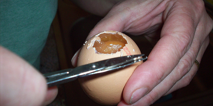 Želatinová vajíčka (stříhání otvoru)