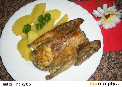 Holoubata s nádivkou