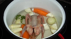 Holubí polévka