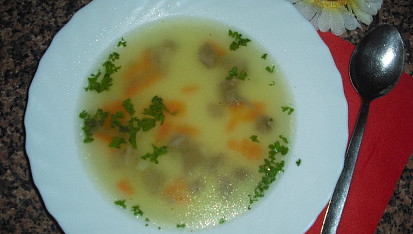 Holubí polévka