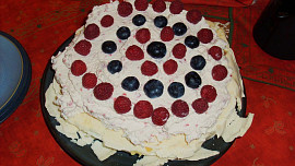 Dort Pavlova