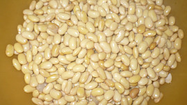 Sojový salát se zeleninou