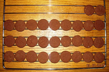 korpus