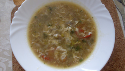 Pórkovo-žampionová polévka