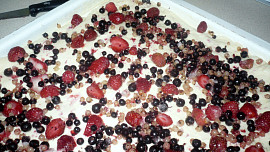 Kynutý koláč s rybízem