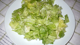 Ledový salát – mix