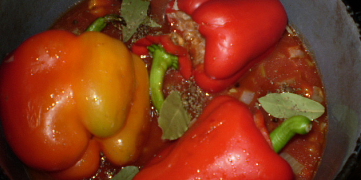 Zapečené,plněné papriky na bazalce s oreganem (zalijeme vodou s protlakem a dáme péct...)