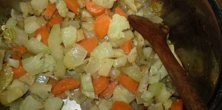 Dvojitá polévka (opečeme zeleninu s hlívou...)