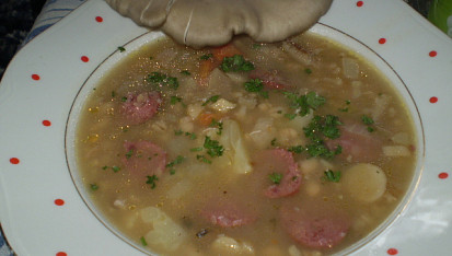 Dvojitá polévka, Dvojitá polévka