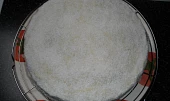 Dort  "černá & bílá"