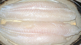 Rybí filety podle Aarona