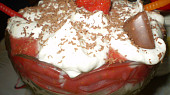 Zimní pohár (Zimní pohár)