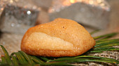 Bobříci