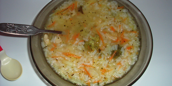 Zeleninová polévka s kuřecím masem "pro nejmenší"
