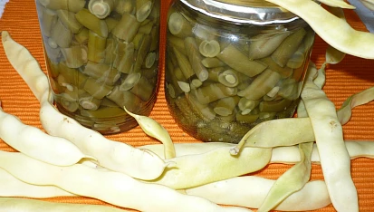 Fazolové lusky ve sladkokyselém nálevu, Mám i žlutou odrůdu fazolek.