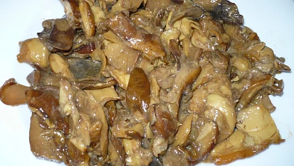 Houby ve vlastní šťávě