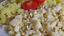 Květákový mozeček