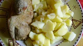 Nadívané holoubě