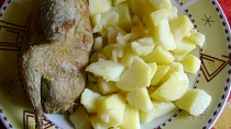 Nadívané holoubě