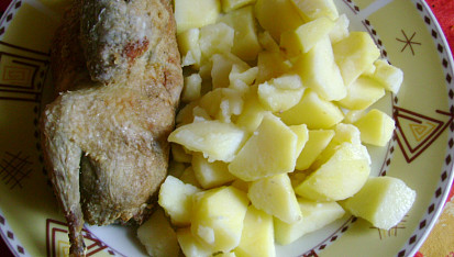 Nadívané holoubě