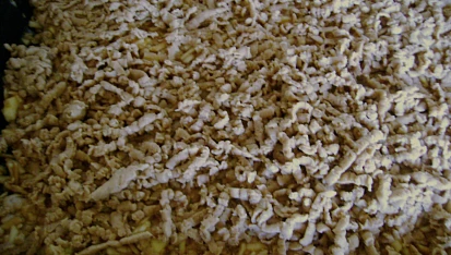 Strouhaná buchta