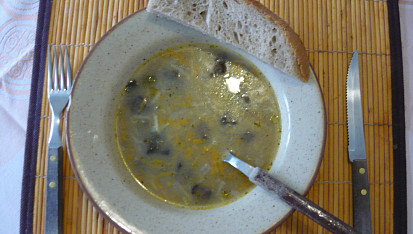 Houbová polévka