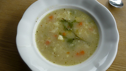 Zeleninová polévka