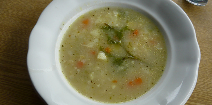 Zeleninová polévka