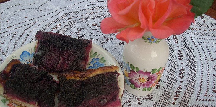 Švestkový koláč s mákem (Švestkový koláč s mákem)