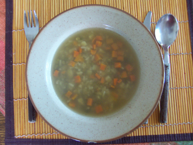 Zeleninová polévka