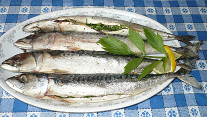 Makrely s libečkem na grilu
