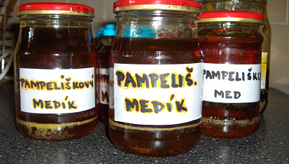 Pampeliškový med, PAMPELIŠKOVÝ MED