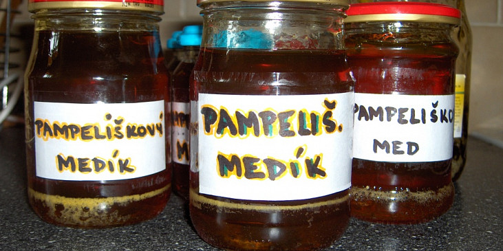 Pampeliškový med (PAMPELIŠKOVÝ MED)