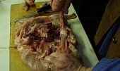 Vykosťování kuřete (spodnu stehennu kost, po uvolneni vytiahnem a spodok kosti odrezem od koze)