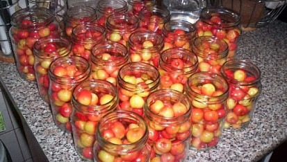 Třešňový kompot + jak zavařovat v horkovzdušné troubě