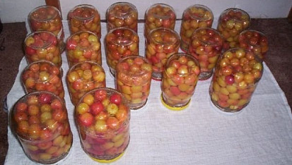 Třešňový kompot + jak zavařovat v horkovzdušné troubě
