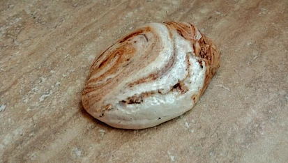 Mramorované pusinky
