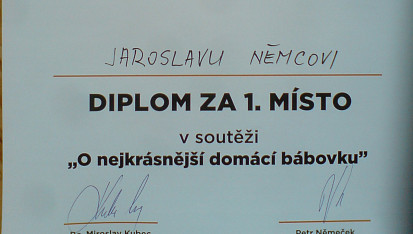 Bábovka s vaječným koňakem a badyánem