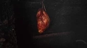 Koleno sous vide z udírny
