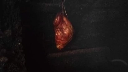 Koleno sous vide z udírny