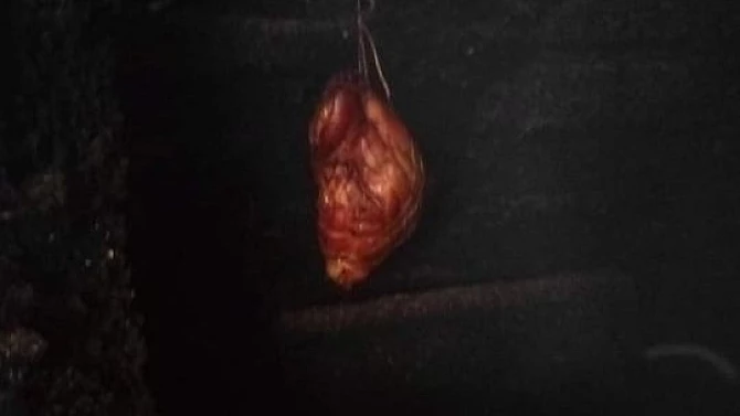Koleno sous vide z udírny