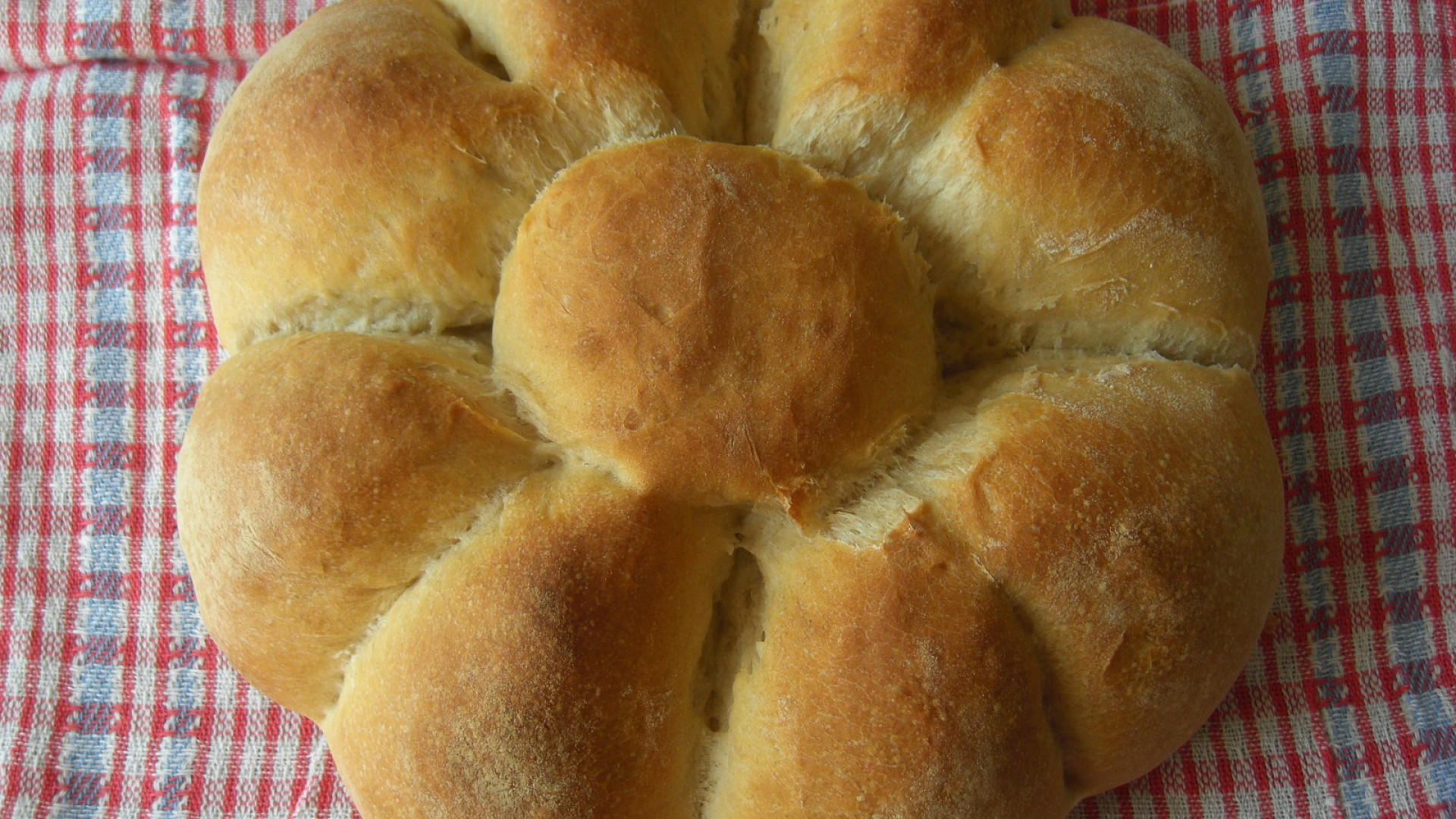 Chléb - kytka