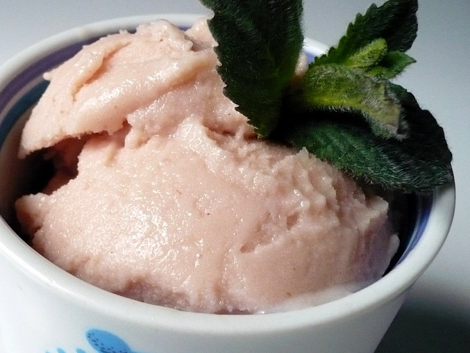 Mléčná zmrzlina s ovocnou příchutí