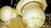 Kuře s houbami po chalupářsku, Použila jsem žampiony z mojí úrody, ten velký měl přes 11 deka, fakt byl veliký, ale pevný.