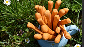 Slané tyčky (variabilní těsto)