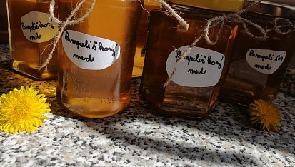 Pampeliškový med s pomerančem
